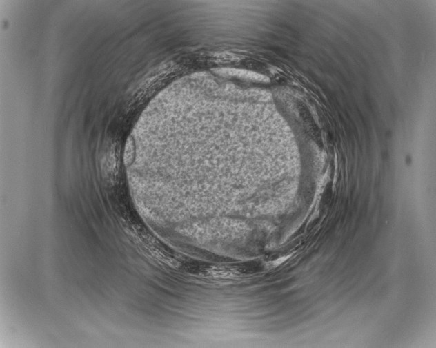 X0000085730608200704131621