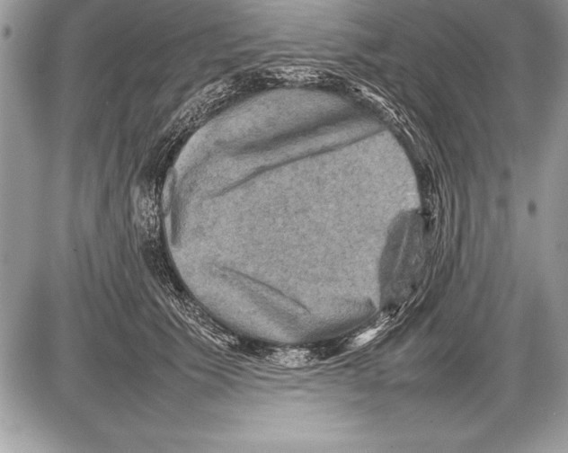 X0000085730609200704131621