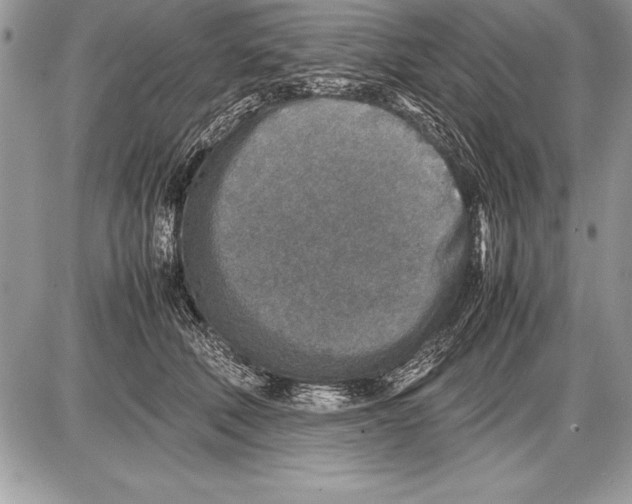 X0000085730610200704131621