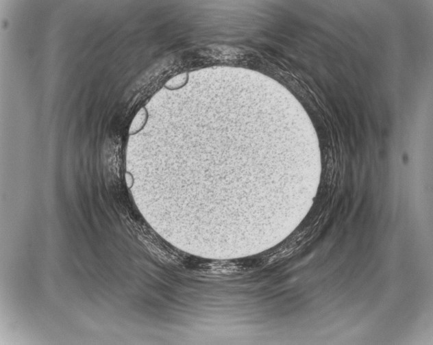 X0000085730612200704131621