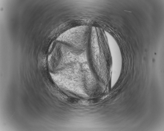 X0000085730613200704131621