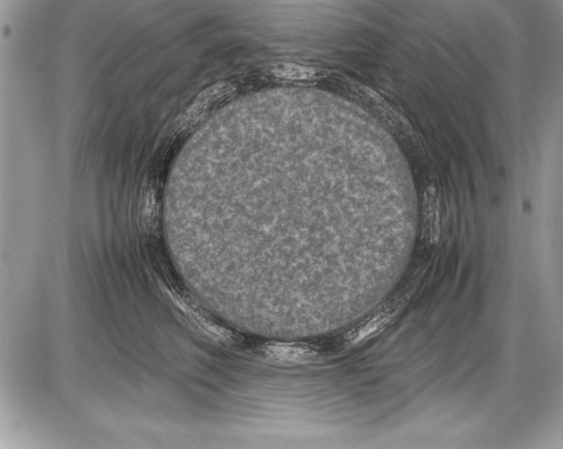 X0000085730614200704131621