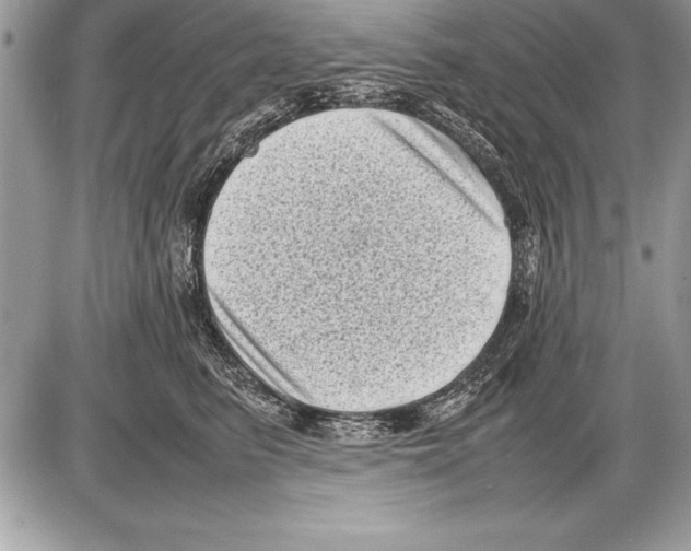 X0000085730615200704131621