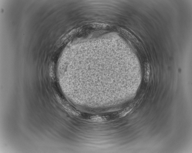 X0000085730616200704131621