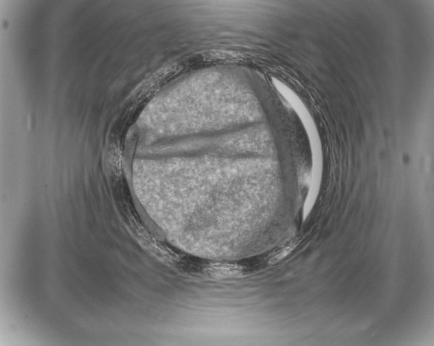 X0000085730617200704131621