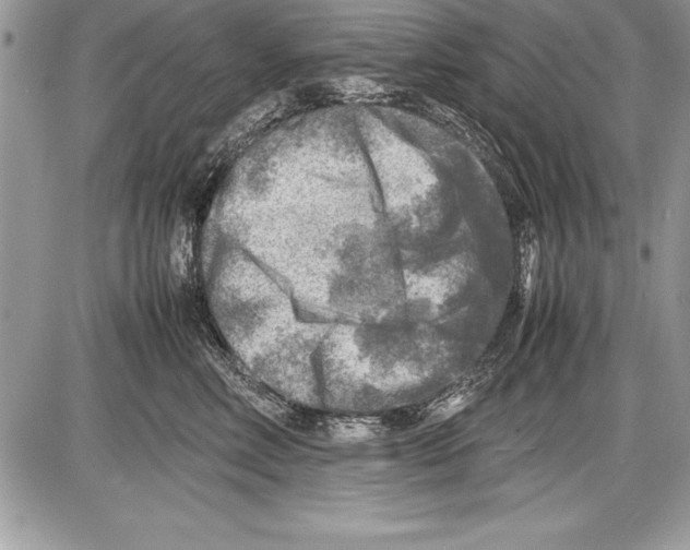 X0000085730618200704131621