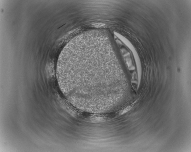 X0000085730620200704131621