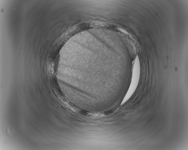 X0000085730621200704131621