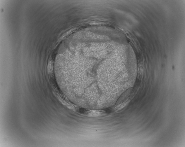 X0000085730623200704131621