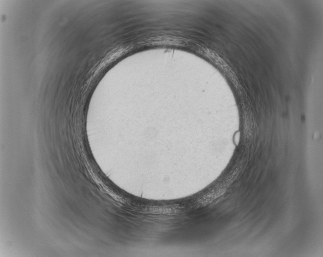 X0000085730625200704131620