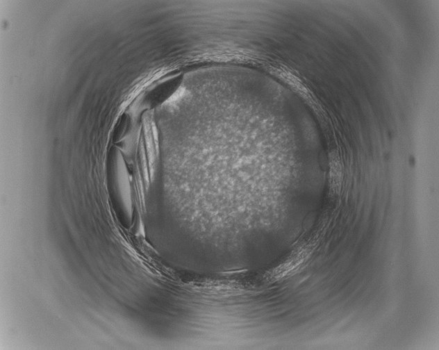 X0000085730626200704131620