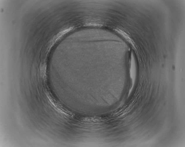 X0000085730627200704131620