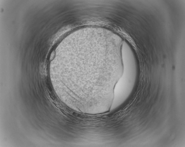 X0000085730628200704131620