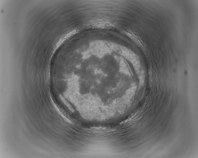 X0000085730630200704131620