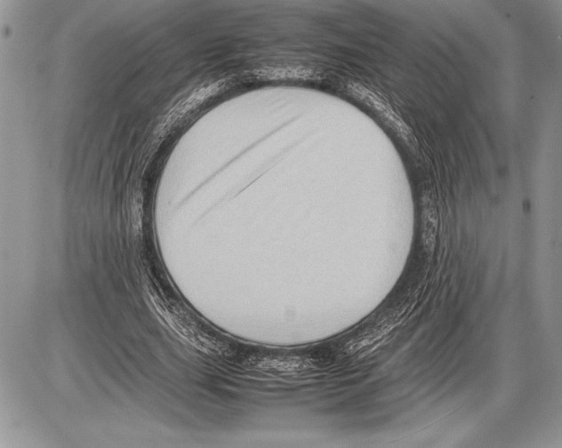 X0000085730631200704131620