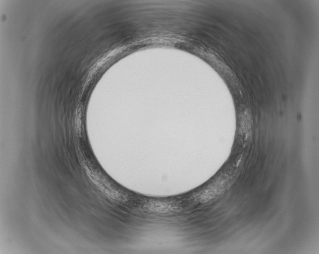 X0000085730632200704131620