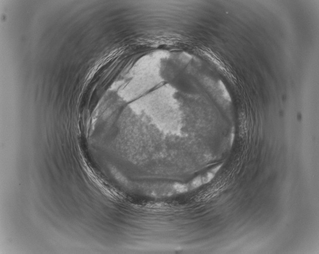 X0000085730634200704131620