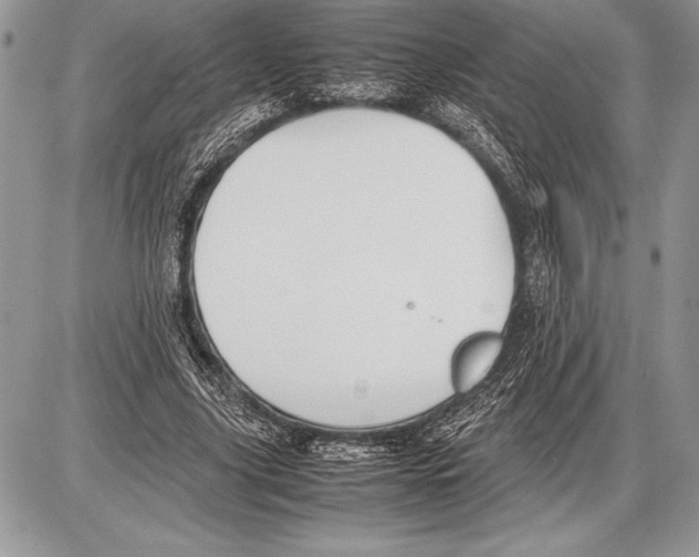 X0000085730635200704131620