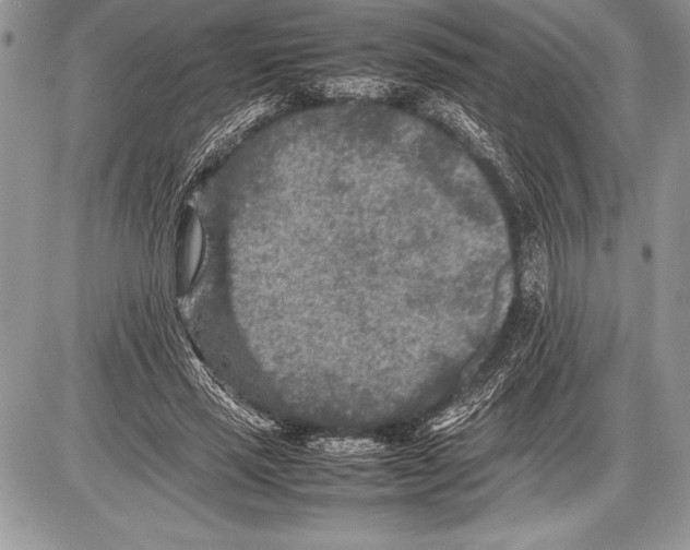 X0000085730637200704131620