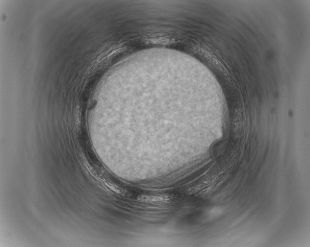 X0000085730639200704131620