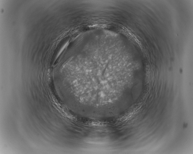 X0000085730641200704131620