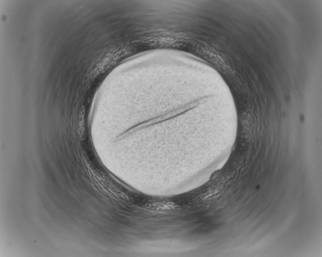 X0000085730642200704131620