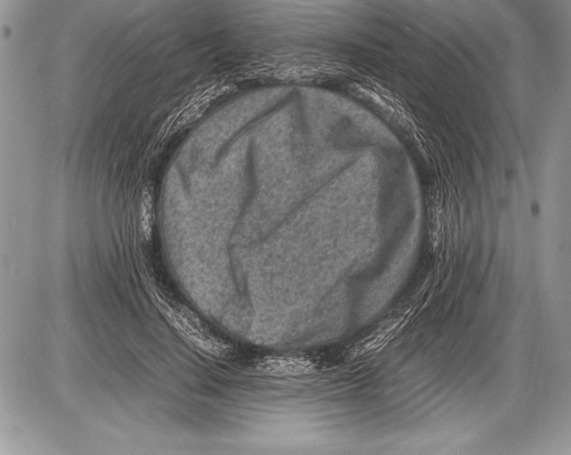 X0000085730644200704131620