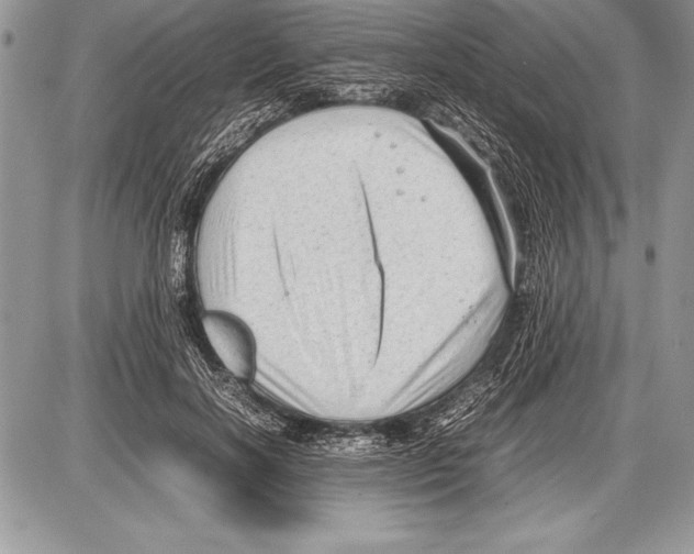 X0000085730646200704131620