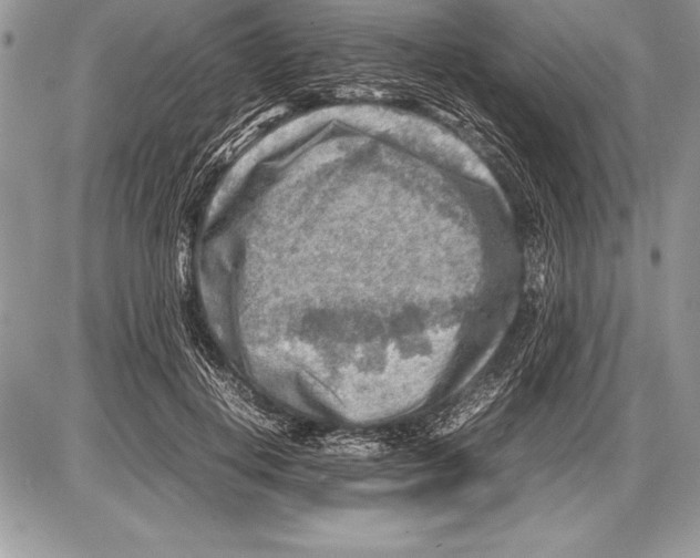 X0000085730648200704131620