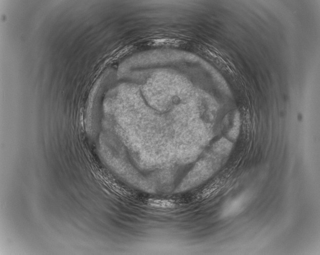 X0000085730649200704131620