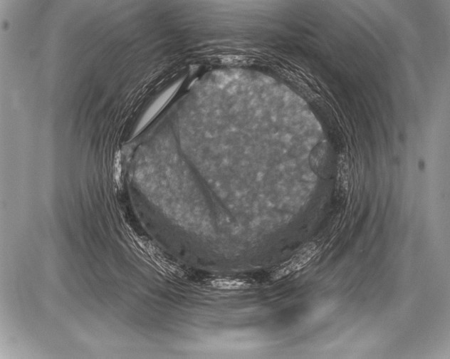 X0000085730650200704131620