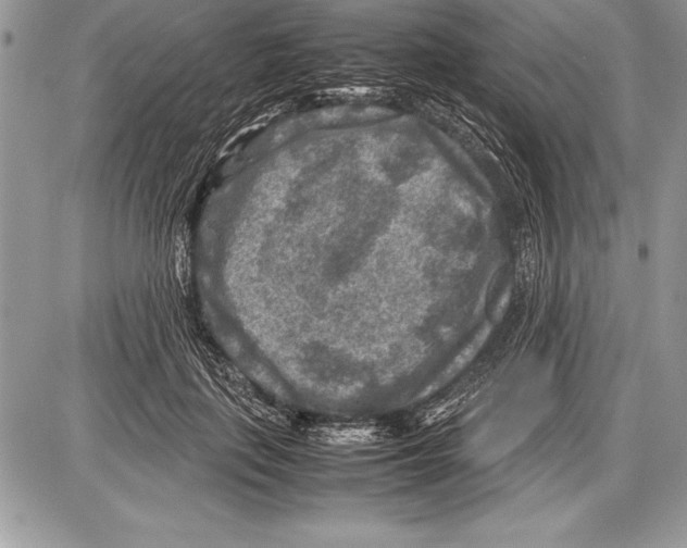 X0000085730651200704131620