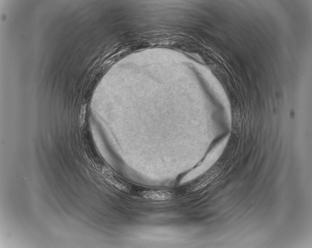 X0000085730652200704131620