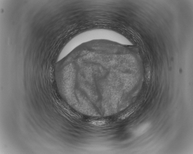 X0000085730653200704131620