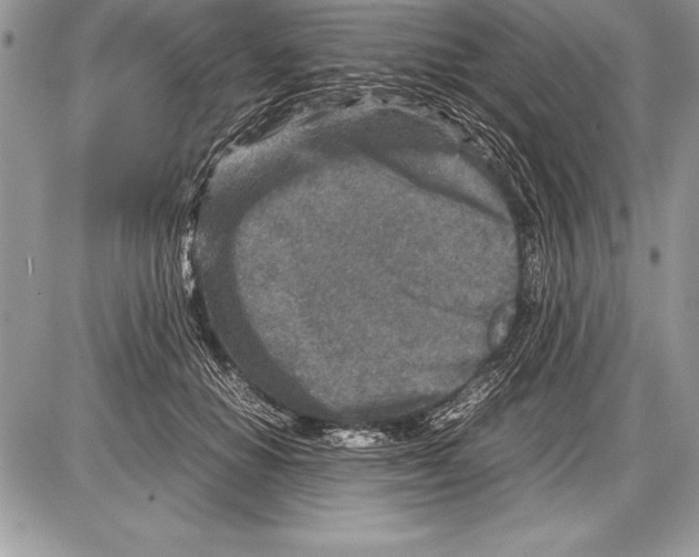 X0000085730654200704131620