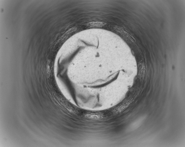 X0000085730655200704131620