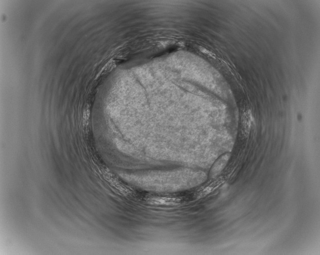 X0000085730657200704131620