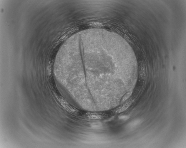 X0000085730658200704131620