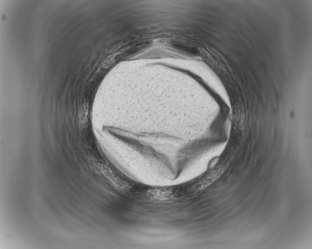 X0000085730660200704131620