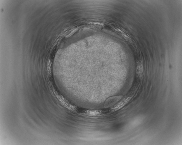 X0000085730662200704131620