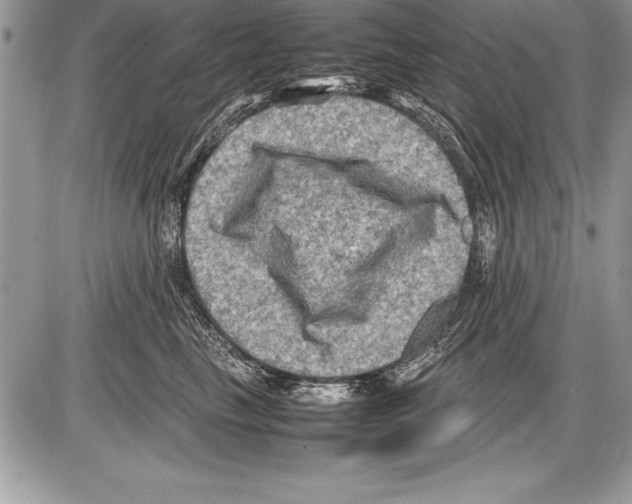 X0000085730665200704131620