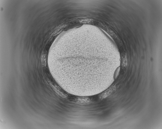 X0000085730666200704131620