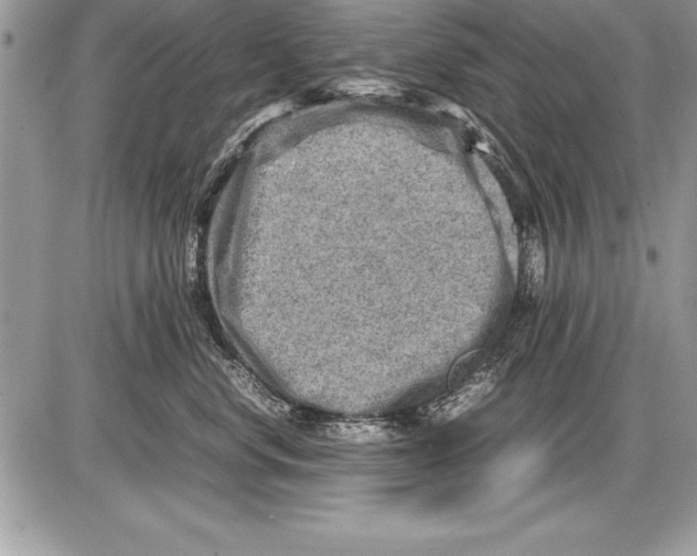 X0000085730668200704131620