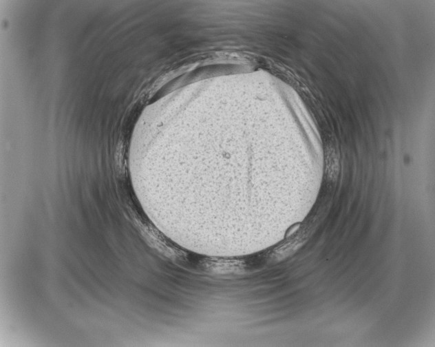 X0000085730670200704131621