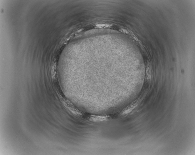 X0000085730671200704131621