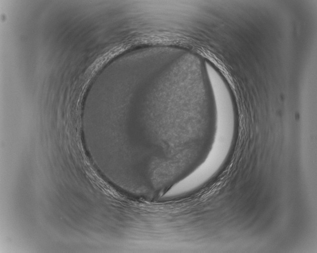 X0000085730673200704131620