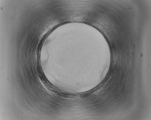 X0000085730674200704131620