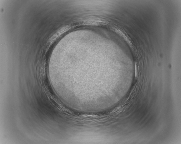 X0000085730675200704131620