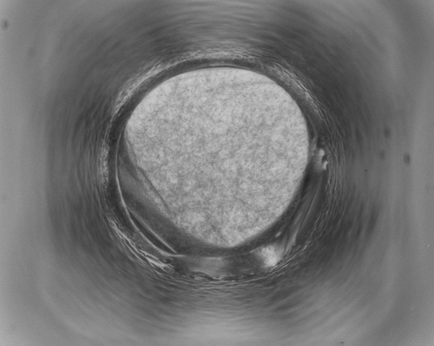 X0000085730676200704131620