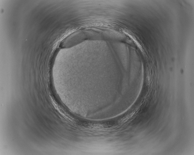 X0000085730677200704131620